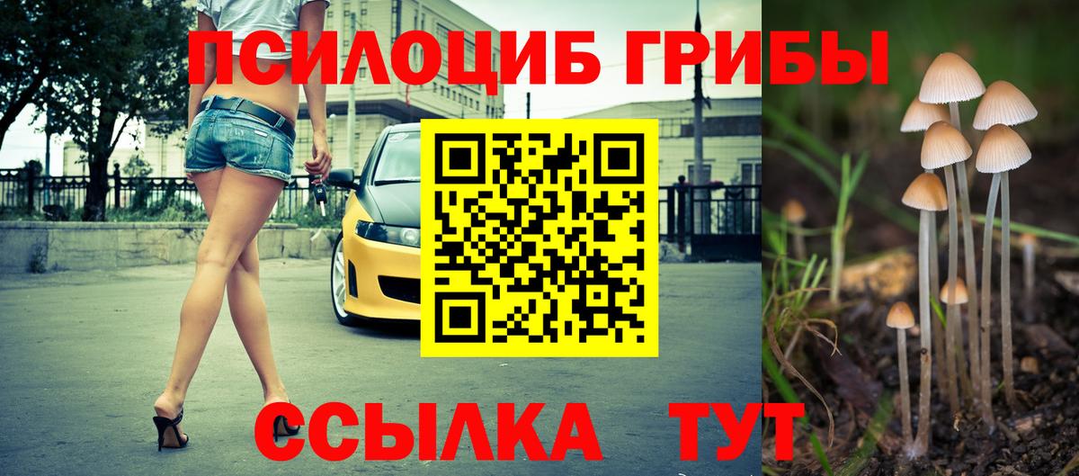 Новодвинск  хочу наркоту  Галлюциногенные грибы мухоморы  Вход с VPN  Галлюциногенные грибы мухоморы 