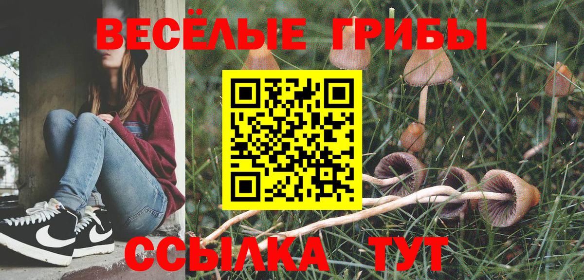 Галлюциногенные грибы Cubensis Новодвинск